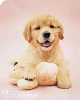 aaaaaaaaaa hafiatko.jpg